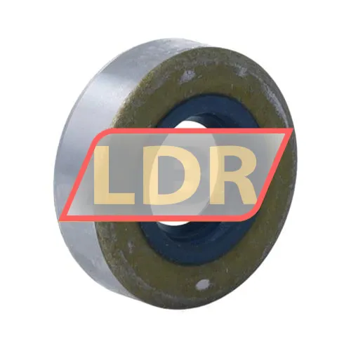 SKF 15X35X10CRS13R