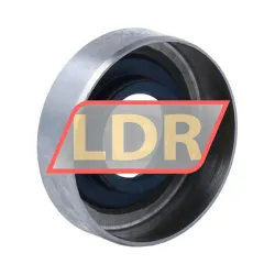 SKF 15X35X10CRS13R rulman resim 2