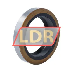 TTO Oil seals GA28X40X7/10 rulman resim 2