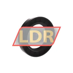 TTO Oil seals DC40X62X10 rulman resim 2
