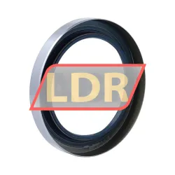 SKF CR80X110X13CRS13R rulman resim 2