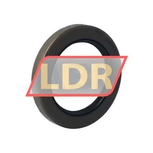 SKF CR25065