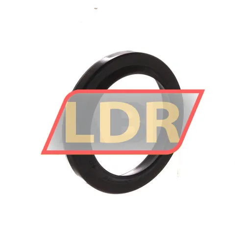 TTO Oil seals GC30X40X5/7