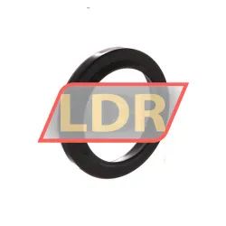 TTO Oil seals GC30X40X5/7