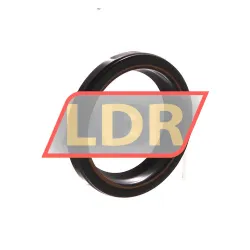 TTO Oil seals GC30X40X5/7 rulman resim 2