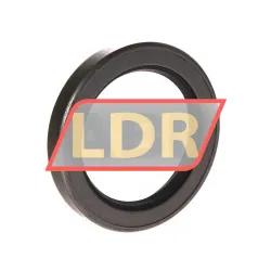CHO Champ Oil Seals 500010 rulman resim 2