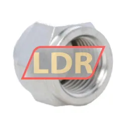 SKF LAPN10