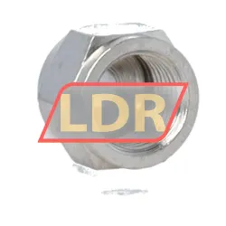 Neutral LAPN1/8 rulman resim 2